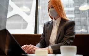 Window safety for indoor cats preventing injuries