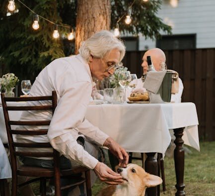 Feeding guide for adult cats transitioning to senior food