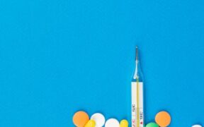 Cat liver disease symptoms causes and treatment basics