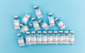 How vaccination supports herd immunity in dog populations