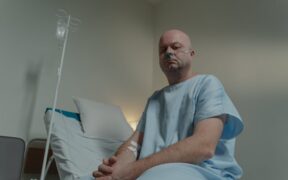 Dog nasal discharge causes symptoms and treatment basics