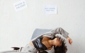 Stress diarrhea in cats signs and possible triggers