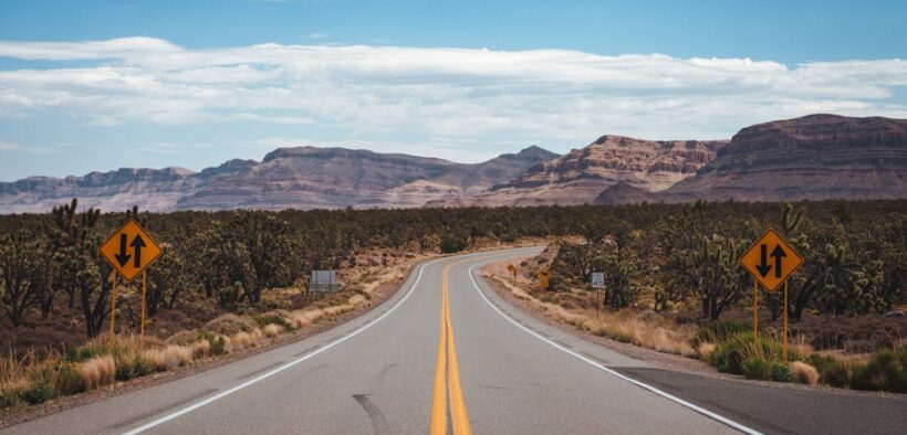 Cat scaly elbows dry patches signs and concerns