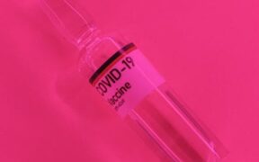 How early vaccination protects puppies from deadly diseases