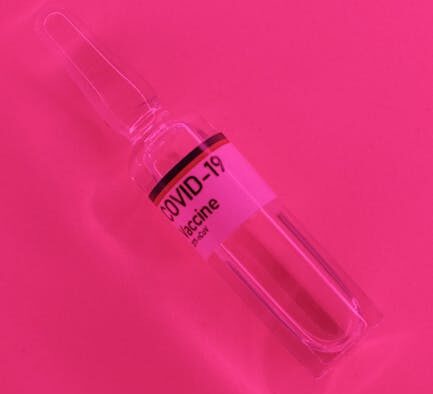 How early vaccination protects puppies from deadly diseases