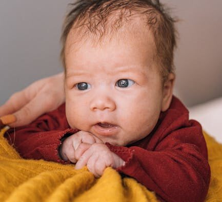 Cat hair matting with skin irritation early signs