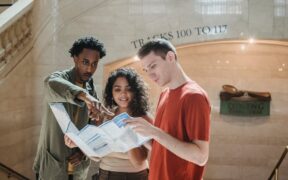 Feeding guide for show dogs