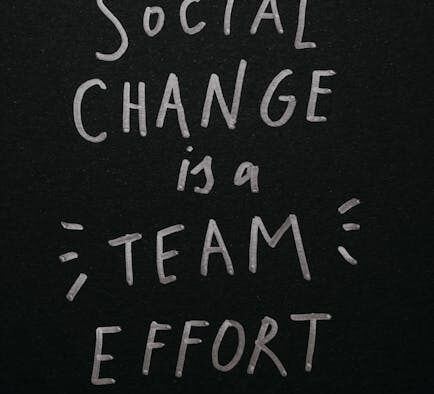 Supplements for vision support in cats