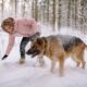 Dog dandruff flakes in coat symptoms and potential reasons