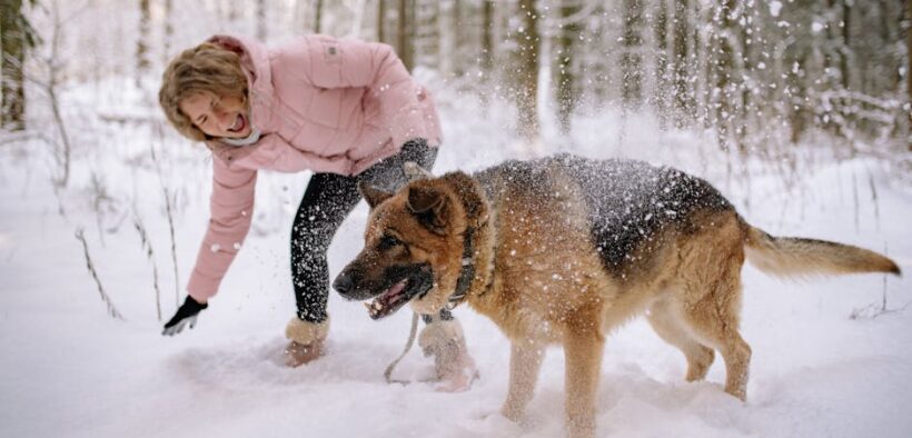 Dog dandruff flakes in coat symptoms and potential reasons