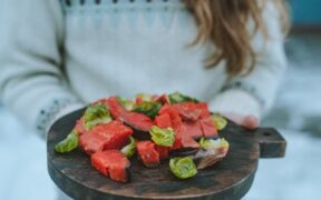 Raw fish toxicity dogs