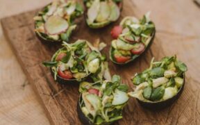 Avocado toxicity in dogs