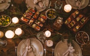 Dog vomiting undigested food symptoms and monitoring