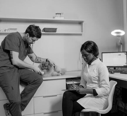 Parasites in senior dogs diagnosis treatment overview for pet owners