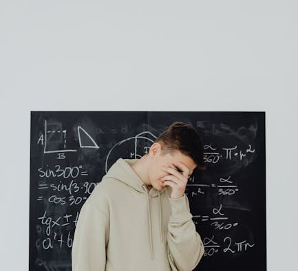 Anxiety in shy rescue cats