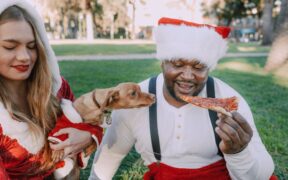 Toxic Christmas foods pets