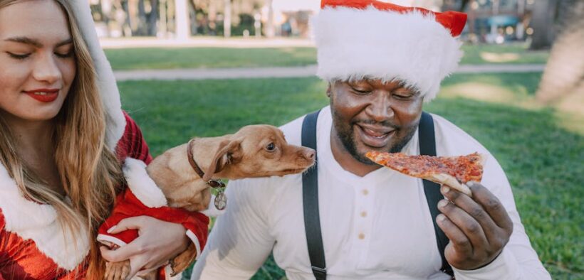 Toxic Christmas foods pets