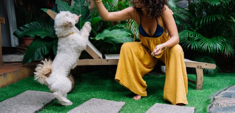 Feeding guide for active dogs