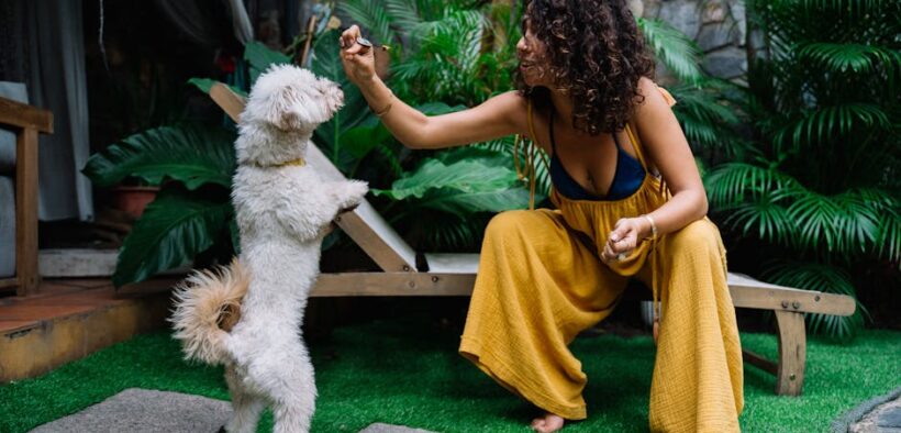 Feeding guide for dogs returning to exercise