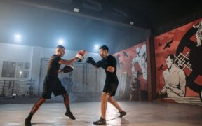 Working with a trainer and vet together