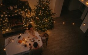 Pets refusing hard foods oral comfort awareness