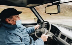 Preventive heart health for senior cats