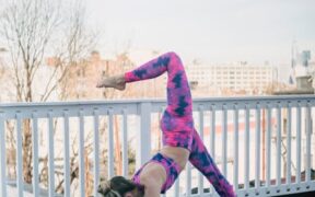 Settle on a mat training for dogs