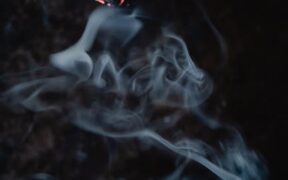 Urine burning sensation pets