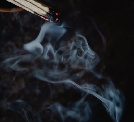 Urine burning sensation pets