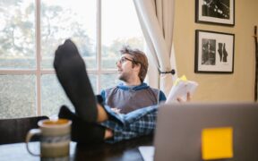 Teaching dogs to come away from distractions