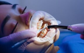 Dog dental hygiene awareness