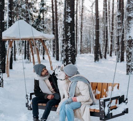 Hookworms in dogs causes risks and prevention for pet owners