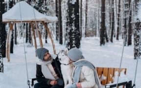 Fleas in dogs causes risks and prevention for pet owners