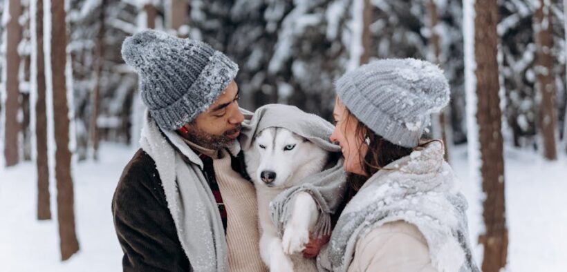 Ticks in wooded areas and dogs causes risks and prevention for pet owners