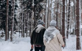 Pets with Quick-Growing Coats