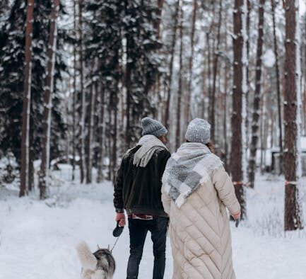 Pets with Quick-Growing Coats