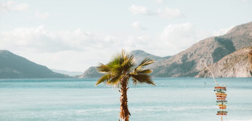 Holiday travel anxiety signs