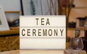 Cat vomiting water after drinking too fast digestive sign