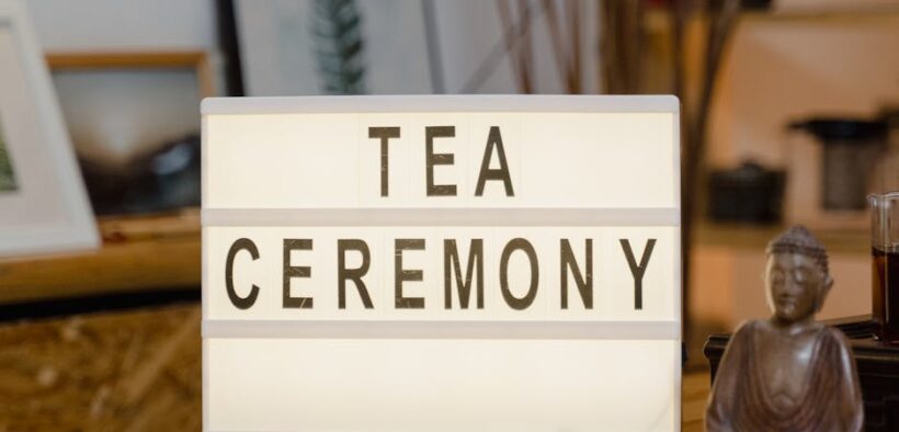 Cat vomiting water after drinking too fast digestive sign