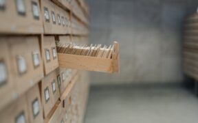 How to read your cat’s vaccine records and terminology