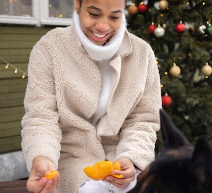 Dog skin peeling symptoms and what owners should know