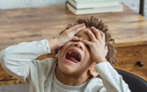 Cats reacting strongly to loud noises