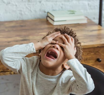 Dogs Reacting Strongly to Loud Noises