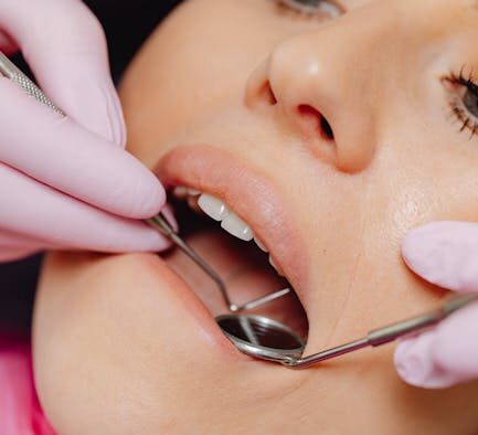 Daily mouth care practices for dogs prevention tips