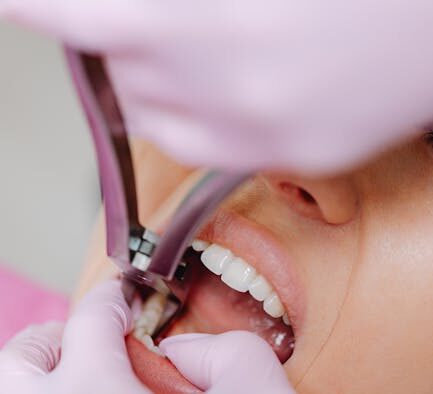 Pet Dental Care and Gum Appearance Awareness