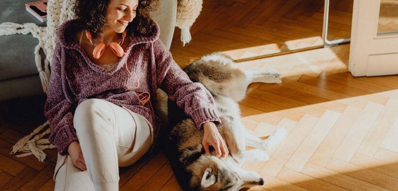 Dog scratching ears causes symptoms and care