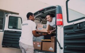 Limping in dogs causes symptoms and when it is an emergency