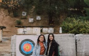 Training sessions for adolescent dogs