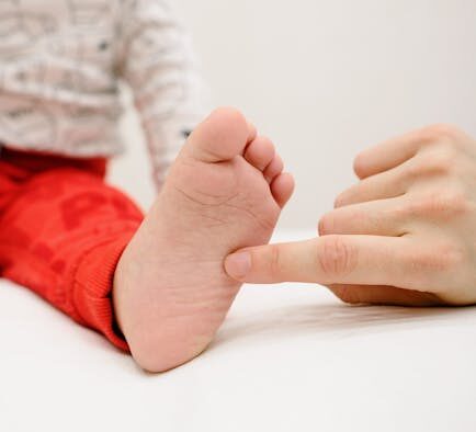 Cat sensitive skin when brushed early signs