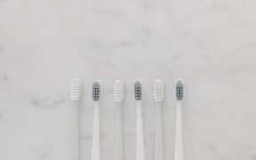 Basic Oral Hygiene for Dogs